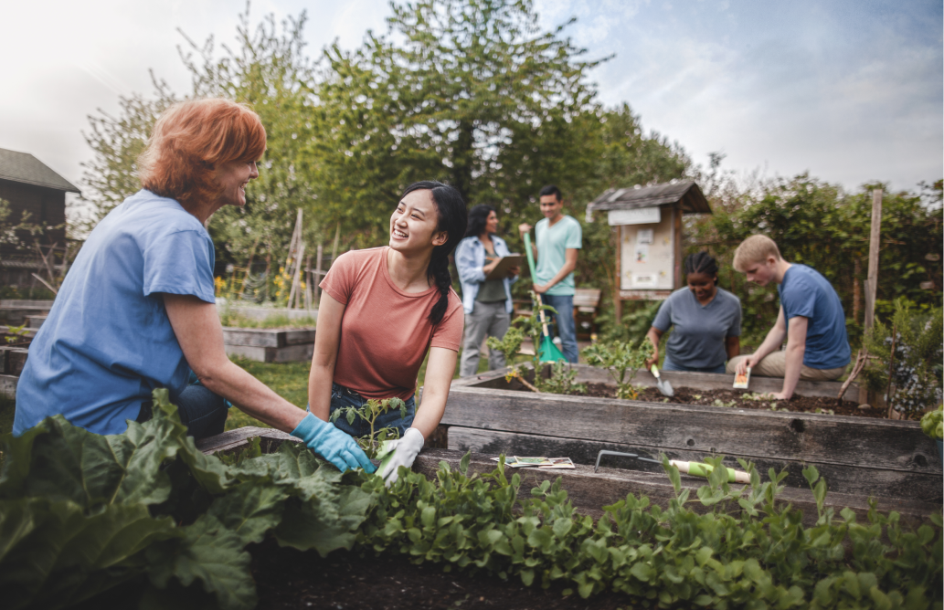 A diverse group of people work together in a community garden.